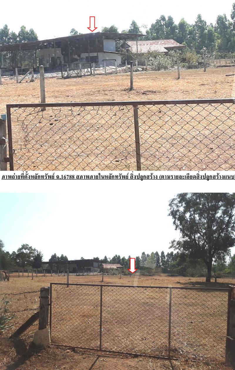 ที่ดินพร้อมสิ่งปลูกสร้างหลุดจำนอง ธ.ธนาคารกรุงไทย นครพนม นาหว้า นาหว้า