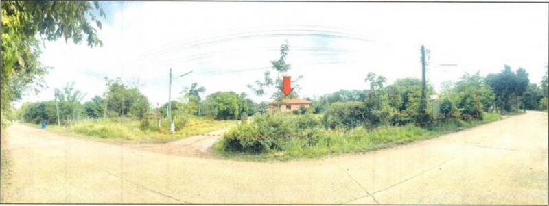 ที่ดินพร้อมสิ่งปลูกสร้างหลุดจำนอง ธ.ธนาคารออมสิน นครพนม เมืองนครพนม อาจสามารถ