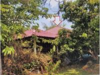 บ้านเดี่ยวหลุดจำนอง ธ.ธนาคารอาคารสงเคราะห์ นครพนม ธาตุพนม ดอนนางหงส์