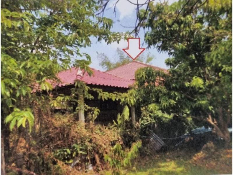 บ้านเดี่ยวหลุดจำนอง ธ.ธนาคารอาคารสงเคราะห์ นครพนม ธาตุพนม ดอนนางหงส์