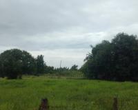 ที่ดินว่างเปล่าหลุดจำนอง ธ.ธนาคารกสิกรไทย นครพนม นาแก บ้านแก้ง