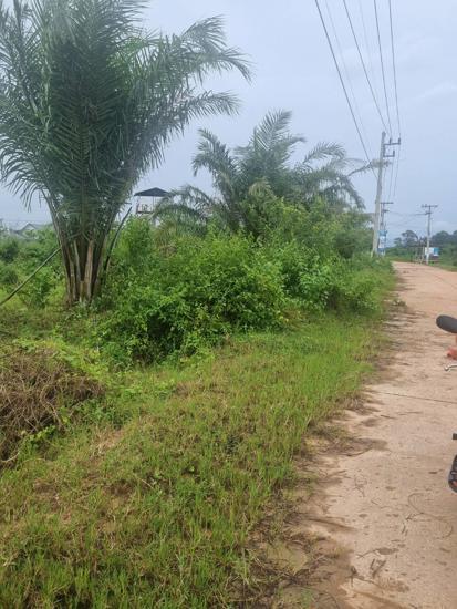 ที่ดินว่างเปล่าหลุดจำนอง ธ.ธนาคารกสิกรไทย นครพนม เมืองนครพนม หนองญาติ