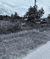 ที่ดินว่างเปล่าหลุดจำนอง ธ.ธนาคารกสิกรไทย นครพนม ท่าอุเทน เวินพระบาท