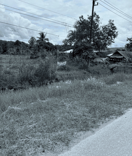 ที่ดินว่างเปล่าหลุดจำนอง ธ.ธนาคารกสิกรไทย นครพนม ท่าอุเทน เวินพระบาท