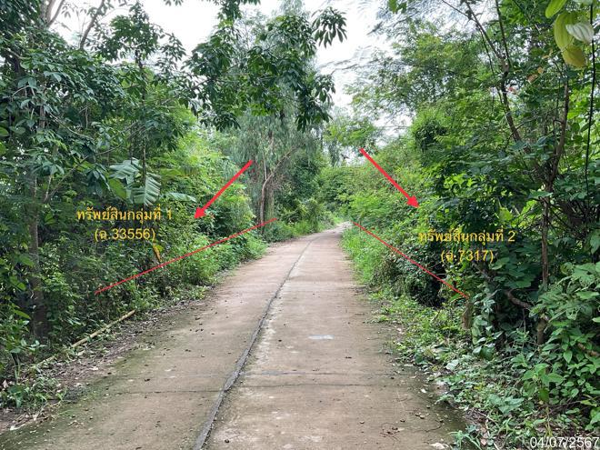 ที่ดินว่างเปล่าหลุดจำนอง ธ.ธนาคารกสิกรไทย นครพนม เรณูนคร หนองย่างชิ้น