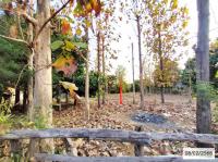 ที่ดินว่างเปล่าหลุดจำนอง ธ.ธนาคารกสิกรไทย นครพนม เรณูนคร เรณูใต้