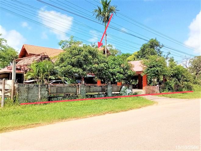 บ้านเดี่ยวหลุดจำนอง ธ.ธนาคารกสิกรไทย นครพนม เรณูนคร โพนทอง