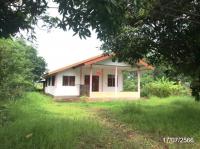 บ้านเดี่ยวหลุดจำนอง ธ.ธนาคารกสิกรไทย นครพนม เมืองนครพนม บ้านผึ้ง