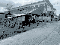 บ้านเดี่ยวหลุดจำนอง ธ.ธนาคารกสิกรไทย นครพนม เมืองนครพนม นาราชควาย